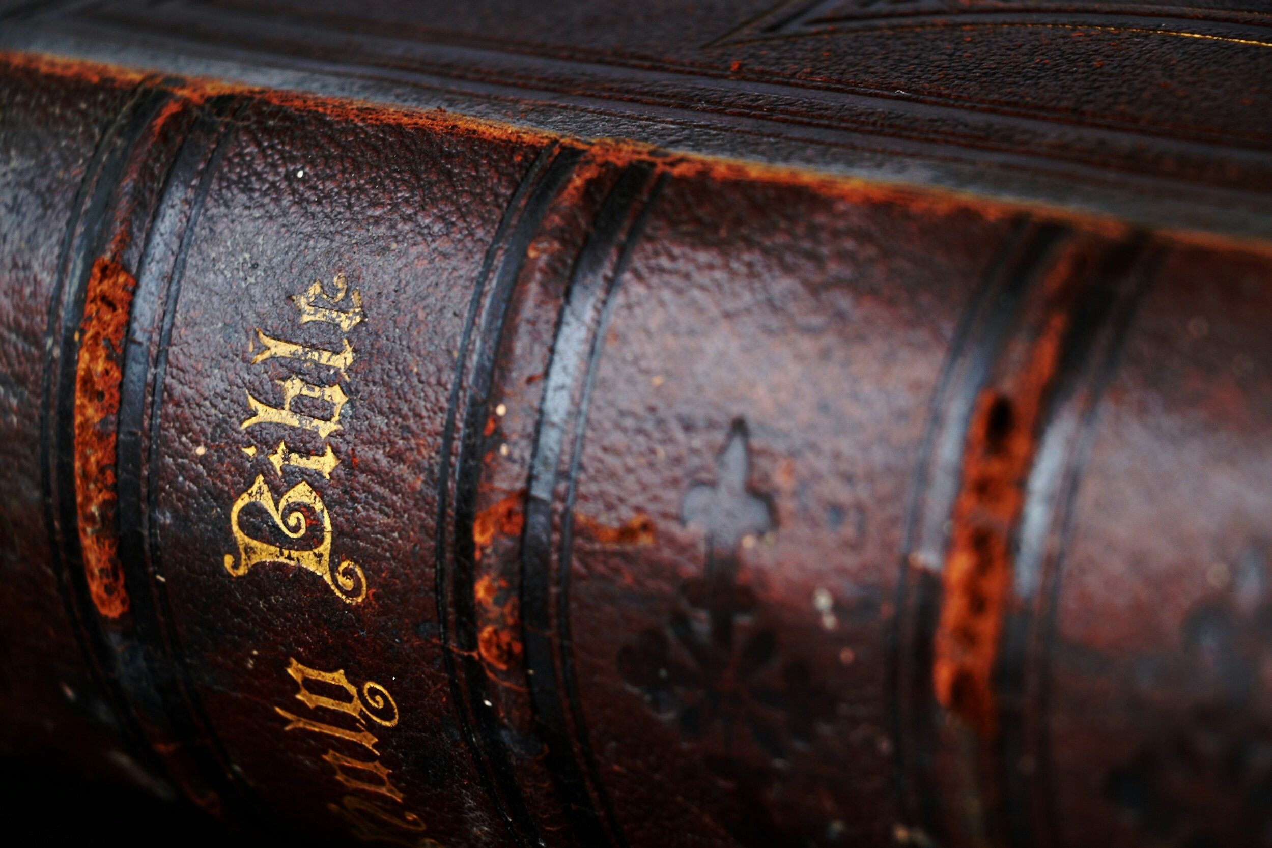Can I Trust the Bible? Evidence from the Manuscripts