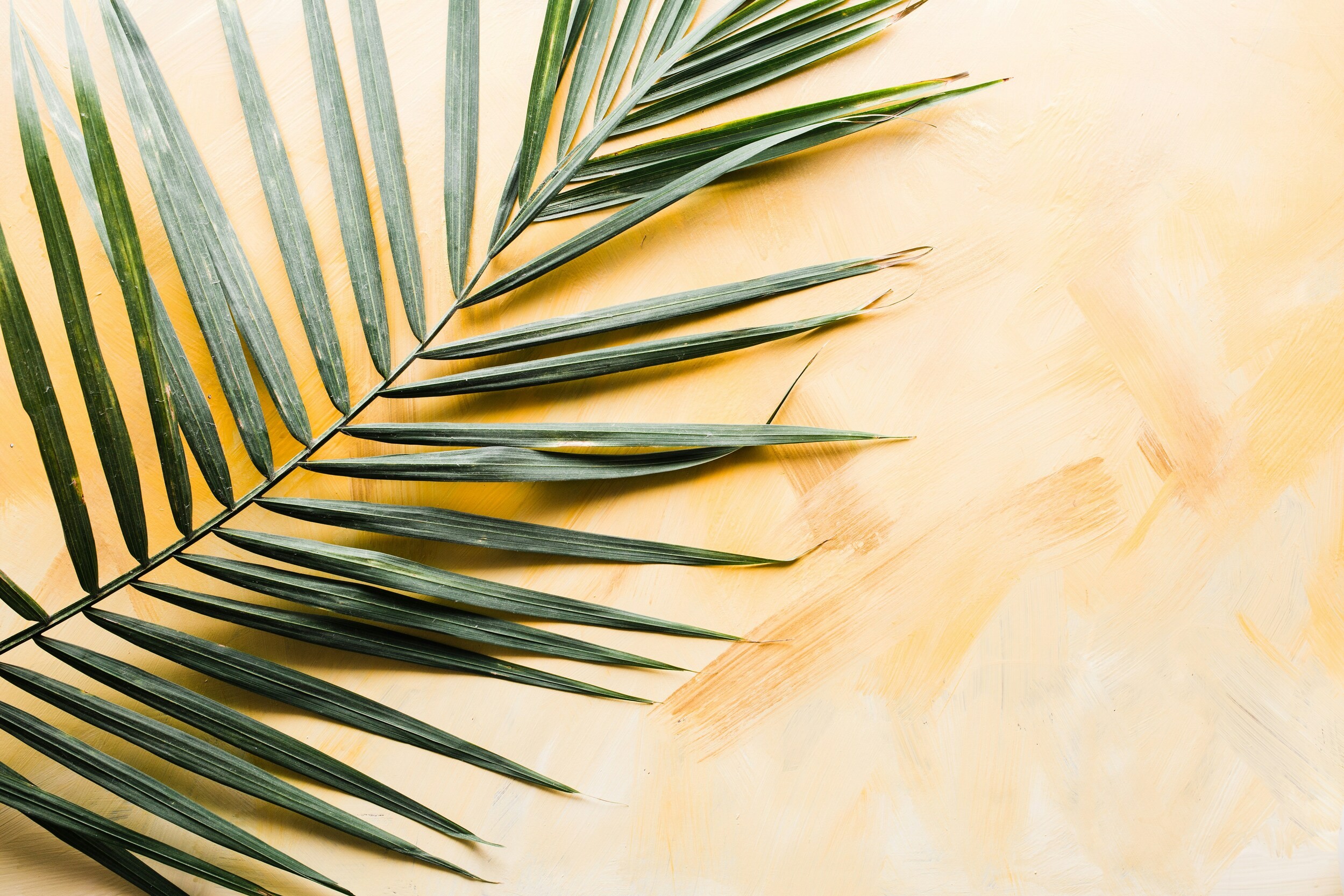 The Week that Changed Everything: Understanding Palm Sunday