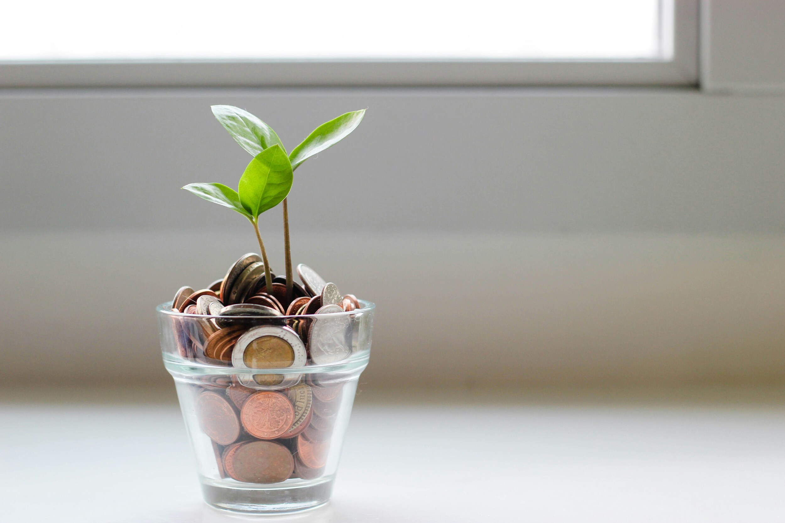 Where Your Treasure Is: Understanding God's Generosity and Our Response