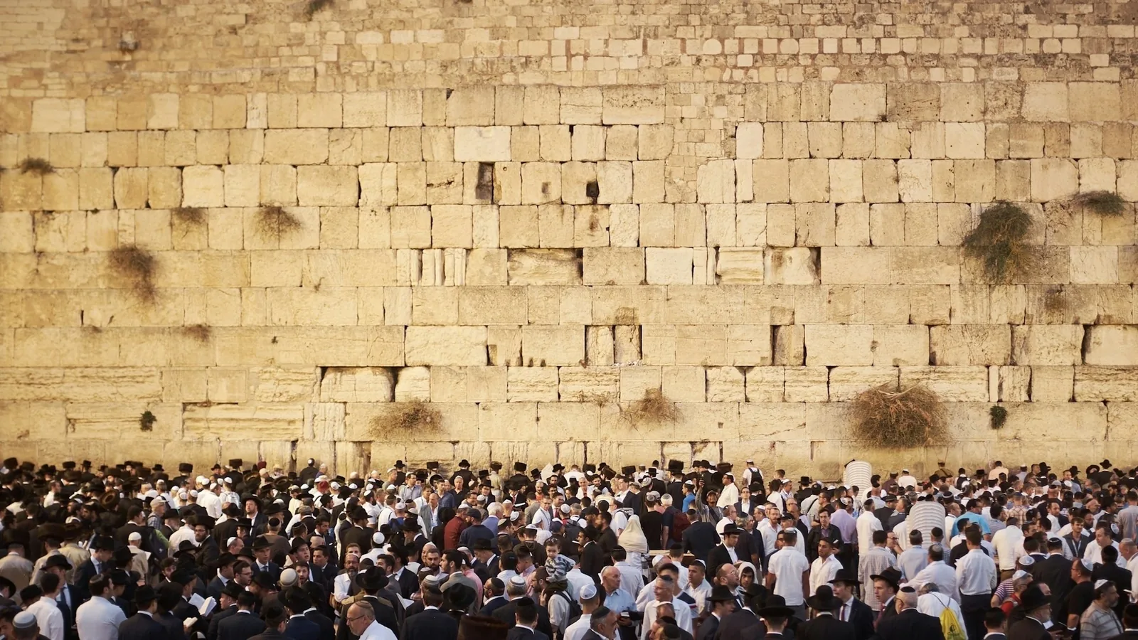 Should Christians Support Israel? What the Bible Actually Says