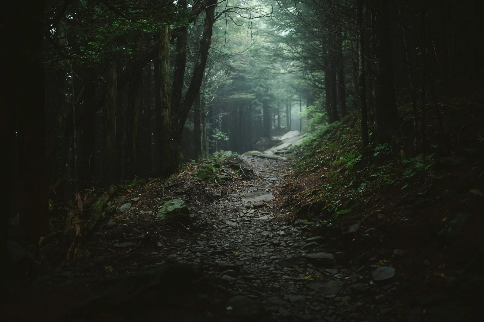 Does My Suffering Have a Purpose? What the Bible Actually Says