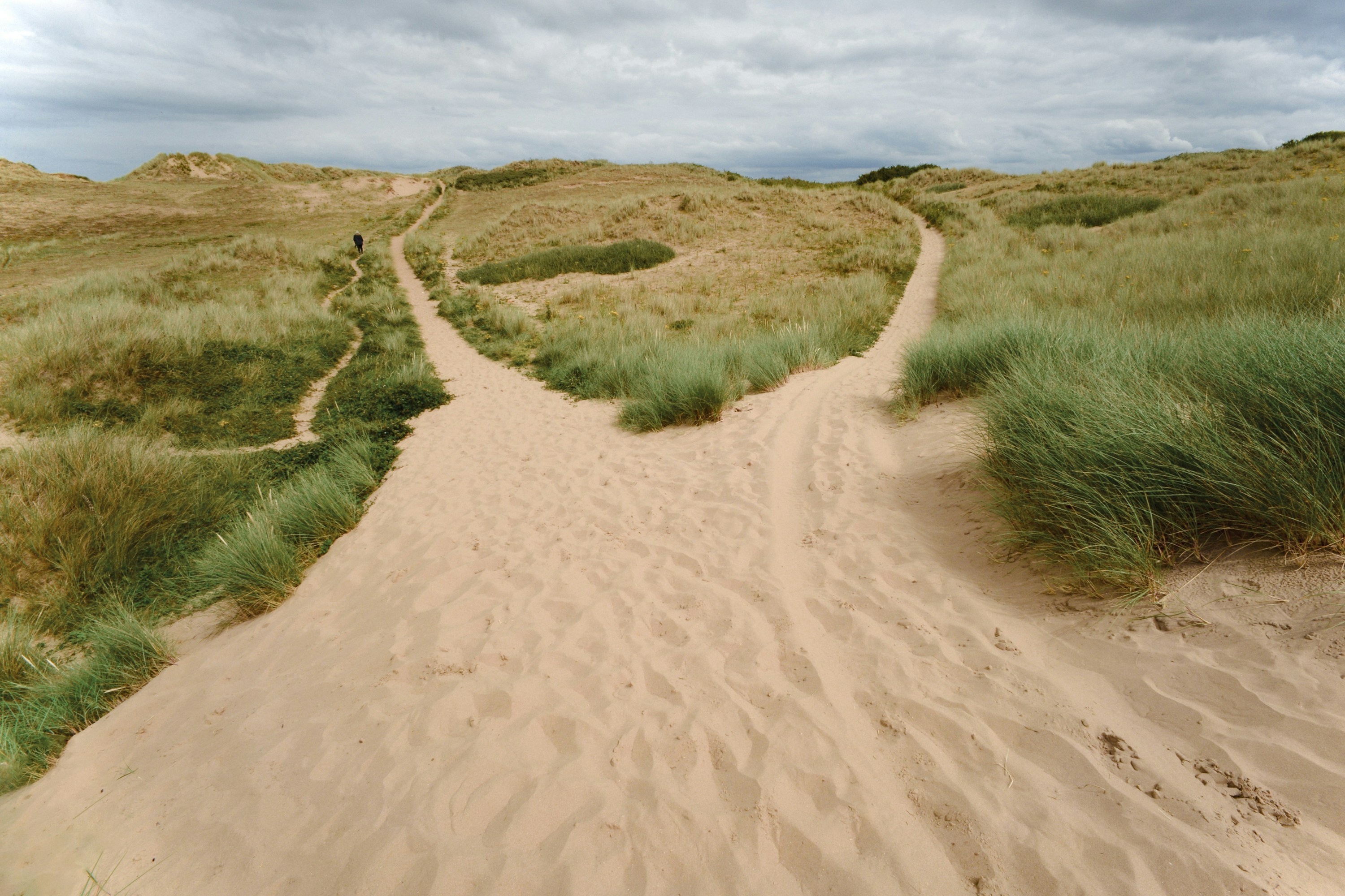 If God Is Sovereign, Are Our Choices Real?