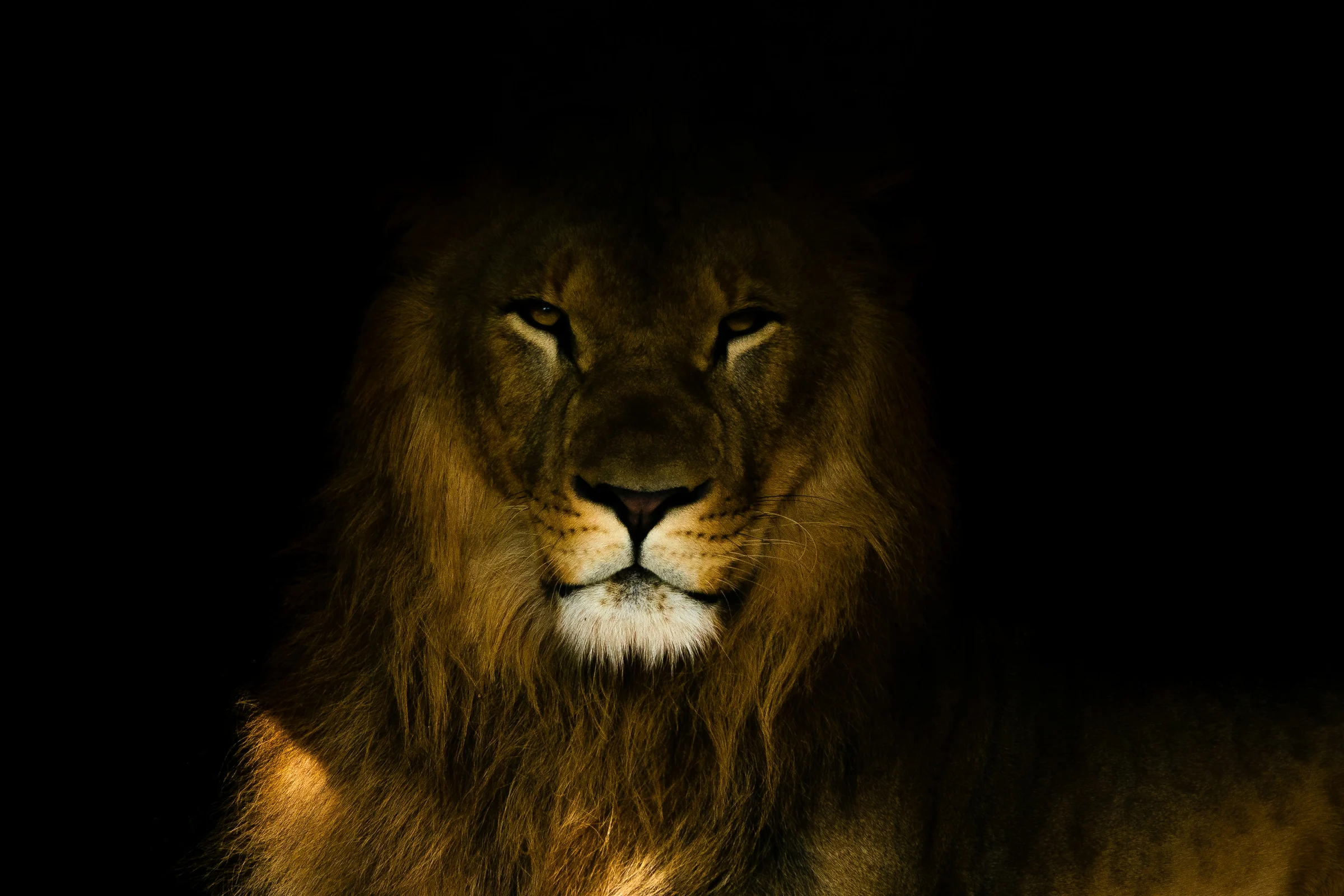 Greater Than All: What Colossians 1:15–20 Says About Who Jesus Really Is