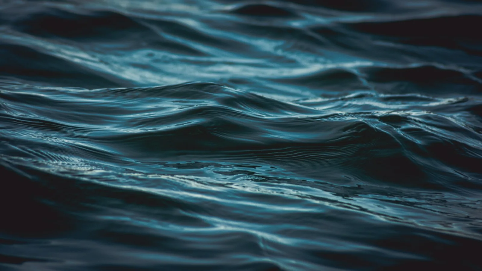 Still water, close enough to see the surface move.